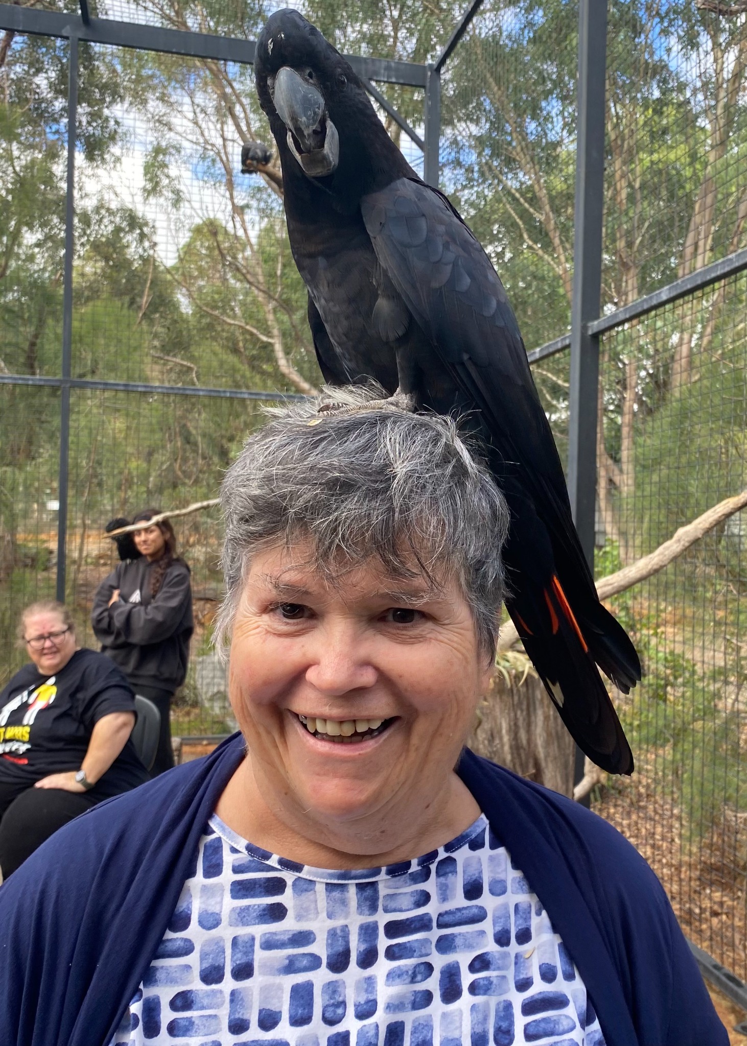Portrait of Associate Professor Carol Carter